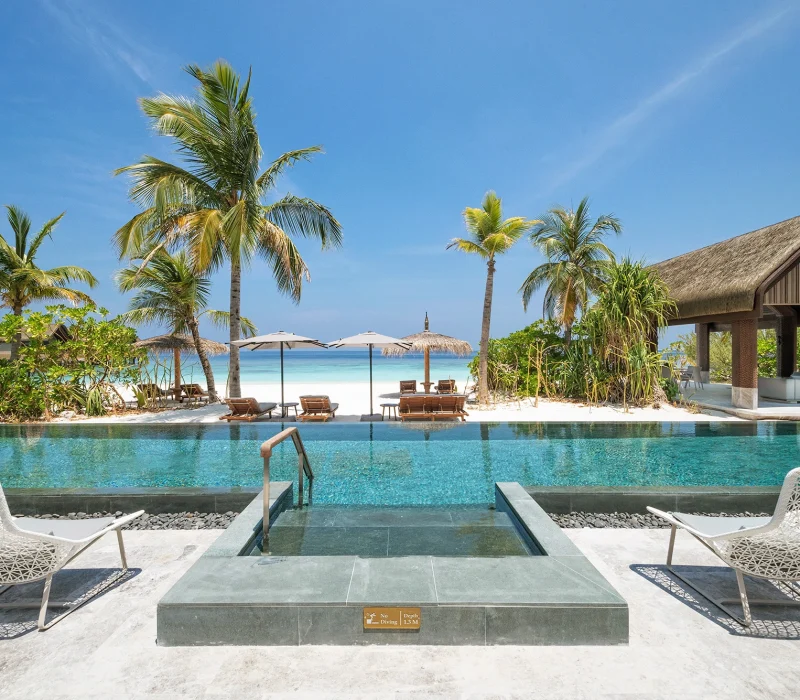 Tropical Paradise